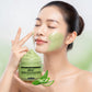 Matcha Green Tea Clay Mask